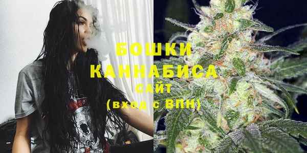 ГАЛЛЮЦИНОГЕННЫЕ ГРИБЫ Верея
