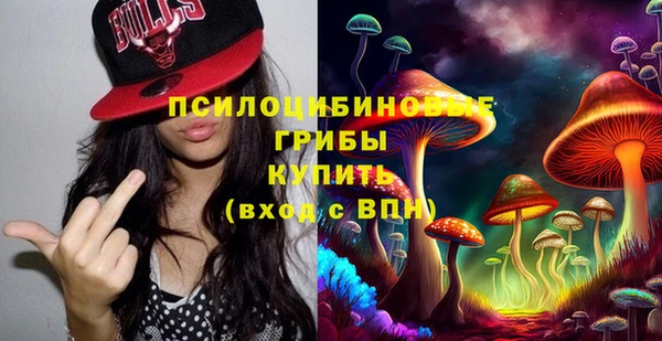 ГАЛЛЮЦИНОГЕННЫЕ ГРИБЫ Верея