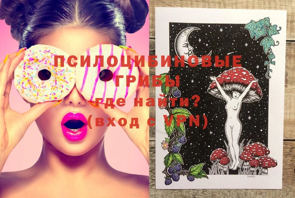 ГАЛЛЮЦИНОГЕННЫЕ ГРИБЫ Верея