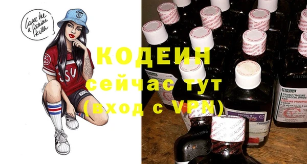 ГАЛЛЮЦИНОГЕННЫЕ ГРИБЫ Верея