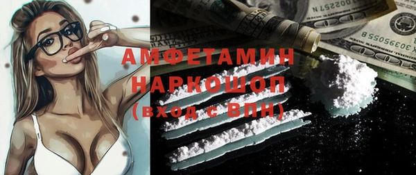 ГАЛЛЮЦИНОГЕННЫЕ ГРИБЫ Верея