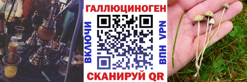Купить закладки  Абинск  Псилоцибиновые грибы прущие грибы 